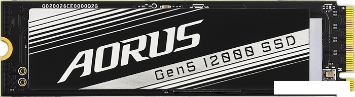 SSD Gigabyte Aorus Gen5 12000 1TB AG512K1TB - фото