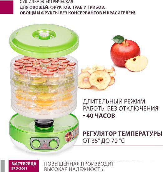 Сушилка для овощей и фруктов Мастерица EFD-3061 (зеленый перламутр) - фото