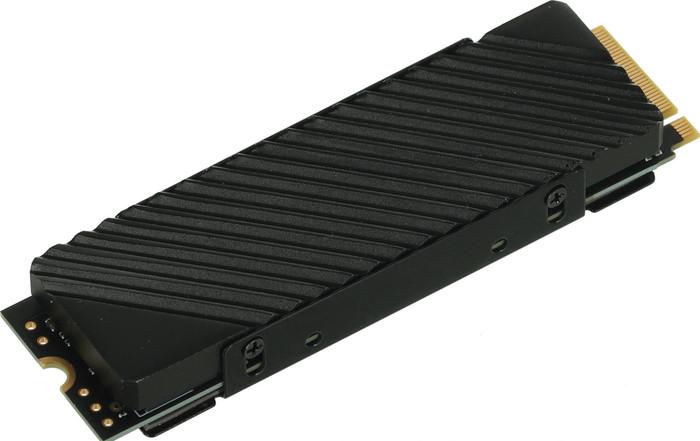 SSD Digma Top G3 1TB DGST4001TG33T - фото