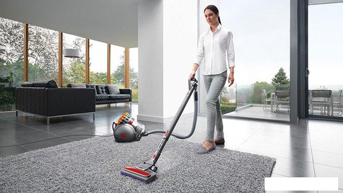 Пылесос Dyson Big Ball Multifloor 2+ - фото