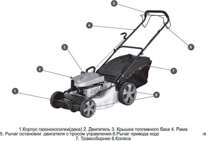 Колёсная газонокосилка Champion LM5345BS - фото