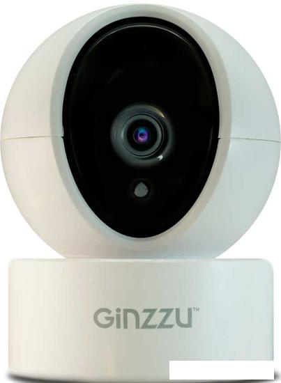 IP-камера Ginzzu HWD-2301A - фото