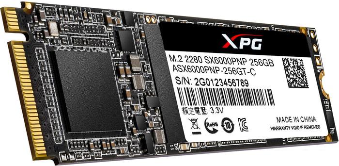 SSD A-Data XPG SX6000 Pro 256GB ASX6000PNP-256GT-C - фото