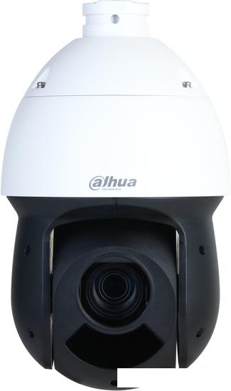 IP-камера Dahua DH-SD49225DB-HNY - фото