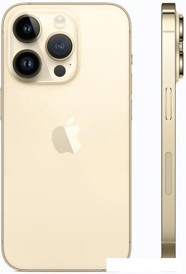 Смартфон Apple iPhone 14 Pro 1TB (золотистый) - фото