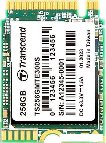 SSD Transcend 300S 256GB TS256GMTE300S - фото