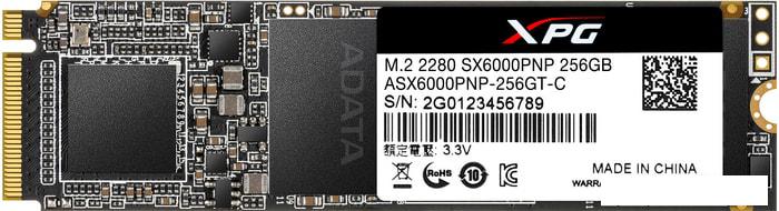 SSD A-Data XPG SX6000 Pro 256GB ASX6000PNP-256GT-C - фото