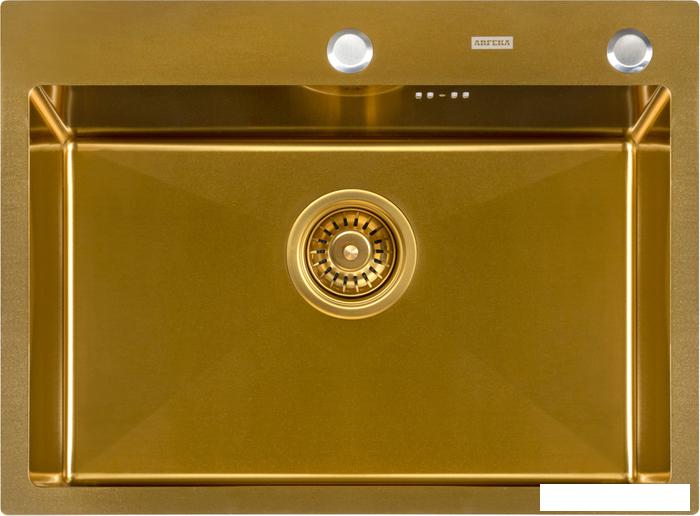 Кухонная мойка ARFEKA Eco AR 600*450 Golden PVD Nano - фото