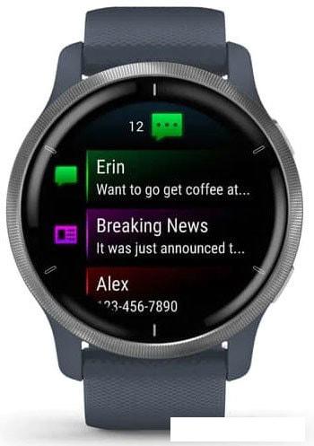 Умные часы Garmin Venu 2 (нержавеющая сталь/синий гранит) - фото