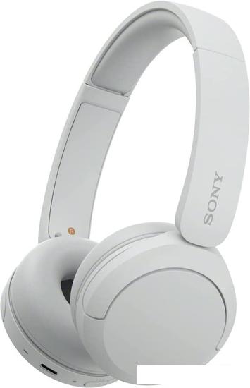 Наушники Sony WH-CH520 (белый) - фото