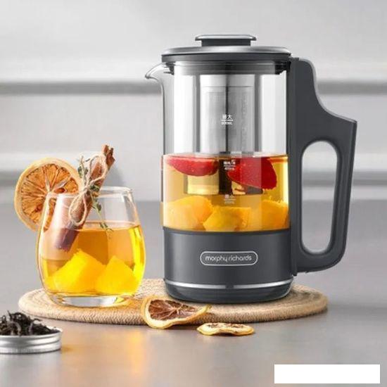 Электрический чайник Morphy Richards TeaMaker MR6086G - фото