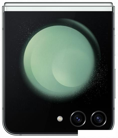 Смартфон Samsung Galaxy Z Flip5 SM-F731B/DS 8GB/256GB (мятный) - фото