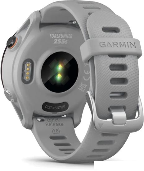 Умные часы Garmin Forerunner 255S 41 мм (светло-серый/черный) - фото