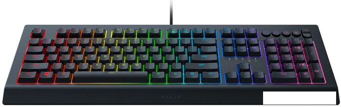 Клавиатура Razer Cynosa v2 - фото