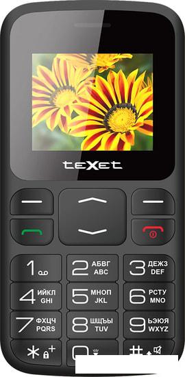 Мобильный телефон TeXet TM-B208 (черный) - фото