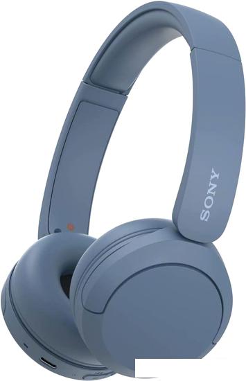 Наушники Sony WH-CH520 (синий) - фото