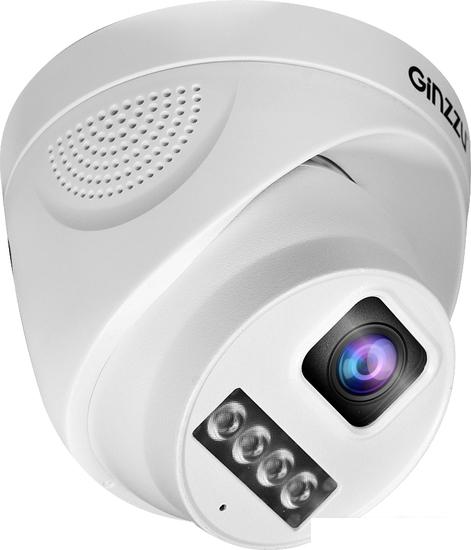 IP-камера Ginzzu HID-4301A - фото