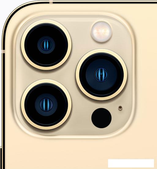 Смартфон Apple iPhone 13 Pro 256GB (золотой) - фото