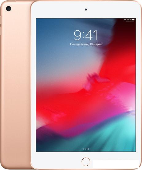 Планшет Apple iPad mini 2019 256GB MUU62 (золотой) - фото