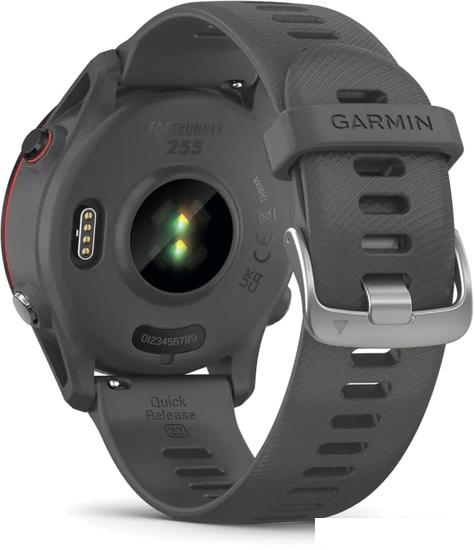 Умные часы Garmin Forerunner 255 46 мм (сланцево-серый/черный) - фото