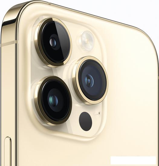 Смартфон Apple iPhone 14 Pro 256GB (золотистый) - фото