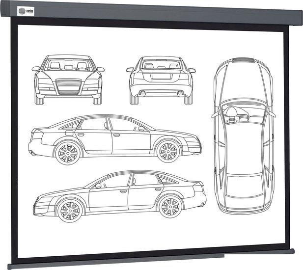 Проекционный экран CACTUS Wallscreen 168x299 CS-PSW-168X299-SG - фото