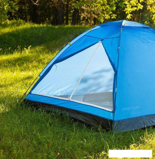 Треккинговая палатка Calviano Acamper Domepack 4 (синий) - фото