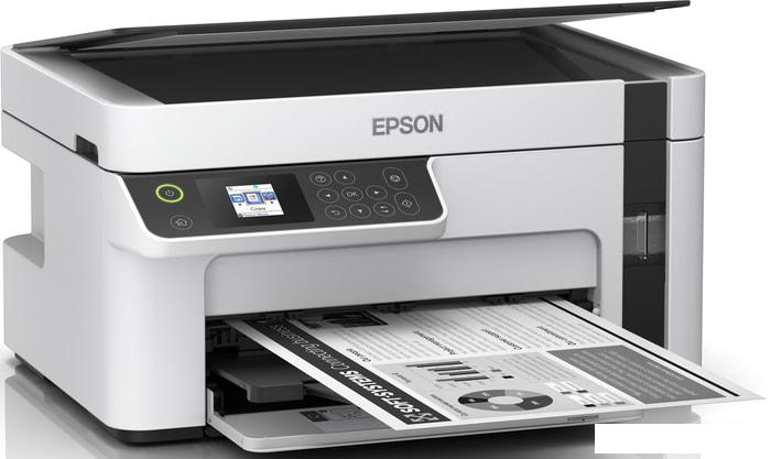 МФУ Epson M2120 - фото