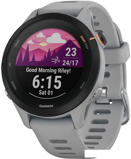 Умные часы Garmin Forerunner 255S 41 мм (светло-серый/черный) - фото