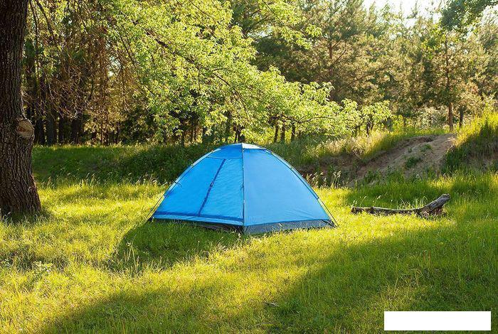 Треккинговая палатка Calviano Acamper Domepack 4 (синий) - фото