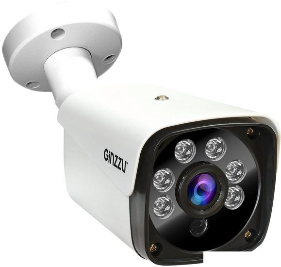 IP-камера Ginzzu HIB-4301A - фото