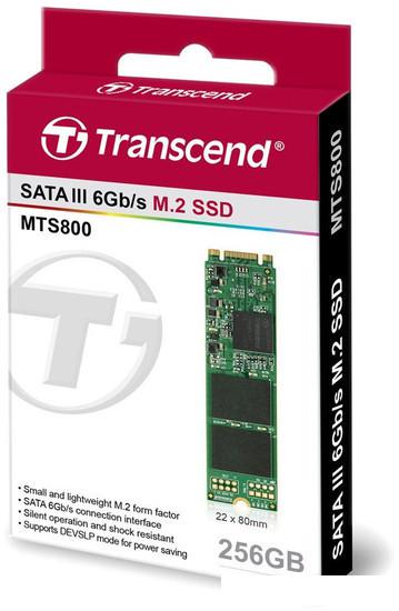 SSD Transcend MTS800 256GB TS256GMTS800S - фото