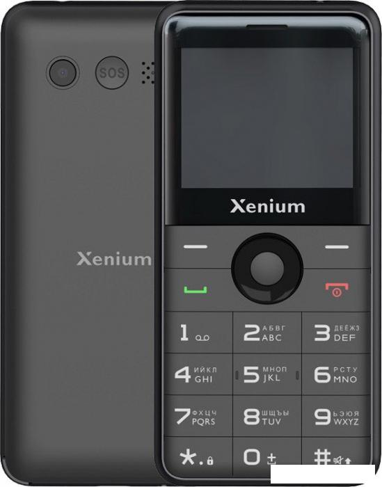 Кнопочный телефон Xenium X700 (черный) - фото