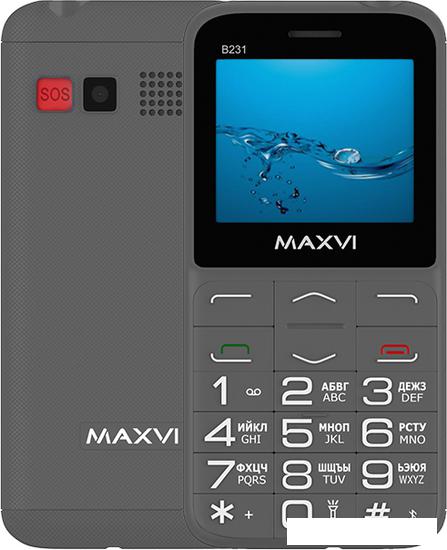 Кнопочный телефон Maxvi B231 (серый) - фото