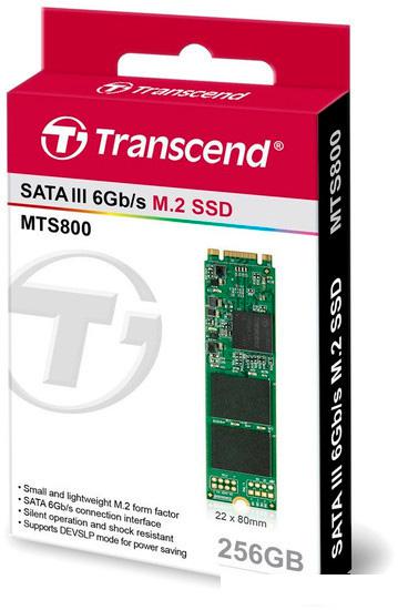 SSD Transcend MTS800 256GB TS256GMTS800S - фото