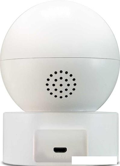 IP-камера Ginzzu HWD-2301A - фото