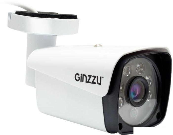 IP-камера Ginzzu HIB-5303A - фото
