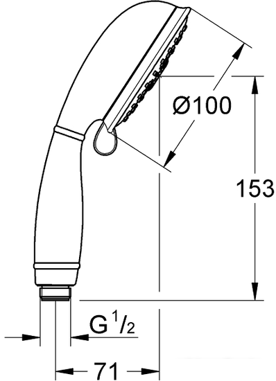 Душевая лейка Grohe Tempesta Rustic 100 27608001 - фото