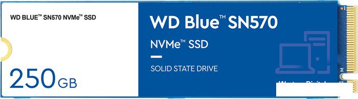 SSD WD Blue SN570 250GB WDS250G3B0C - фото