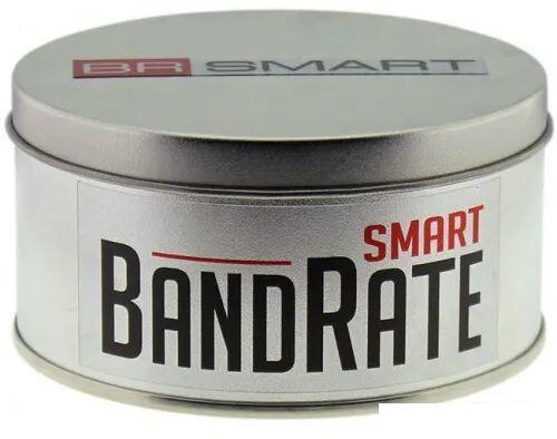 Умные часы BandRate Smart BRST500500GGWB - фото