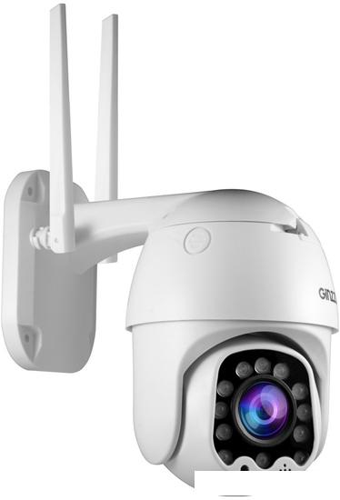 IP-камера Ginzzu HWD-2303A - фото