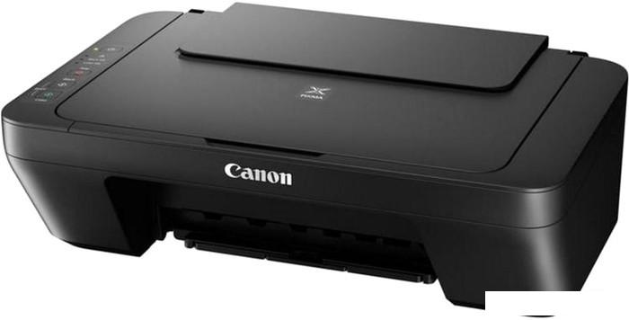 МФУ Canon PIXMA MG2545S - фото