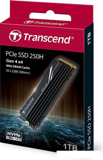 SSD Transcend 250H 1TB TS1TMTE250H - фото