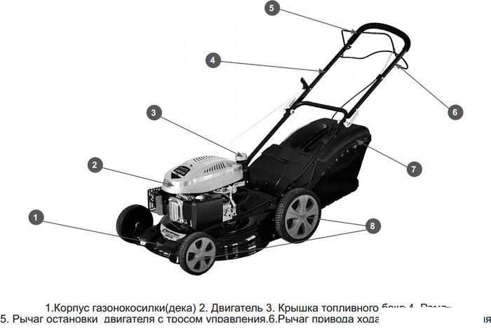 Колёсная газонокосилка Champion LM4630 - фото