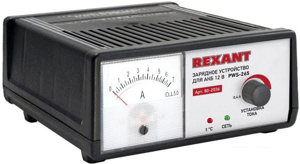 Зарядное устройство Rexant PWS-265 - фото