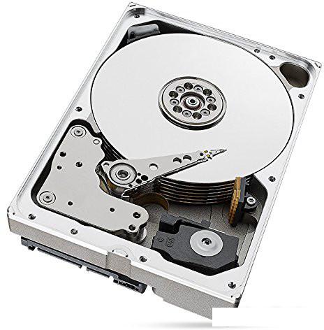 Жесткий диск Seagate Ironwolf 10TB [ST10000VN0004] - фото